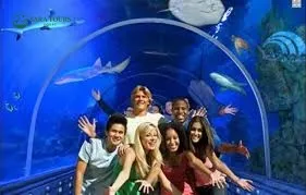 Grand Aquarium